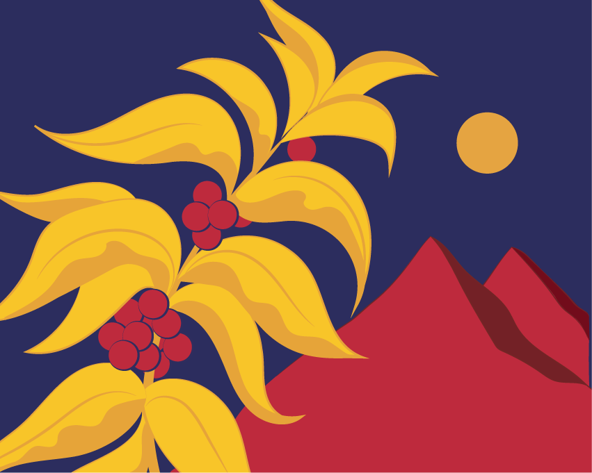Decaf - Colombia